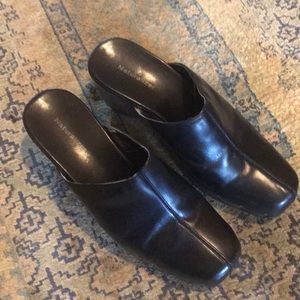 Black Naturalized Mule